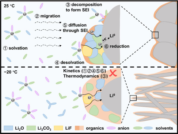 物理所揭示温度调控锂金属电池界面相和Li+输运
