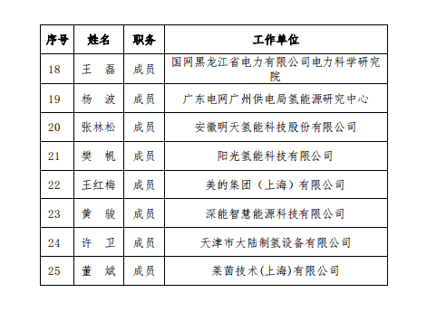 全国电力储能标委会成立压缩空气飞轮水电解制氢/燃料电池等储能标准化工作组