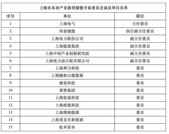 上海市未来产业新型储能专家委员会成立